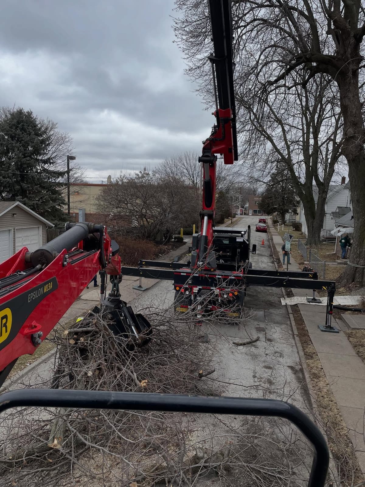 Crane loading tree branches