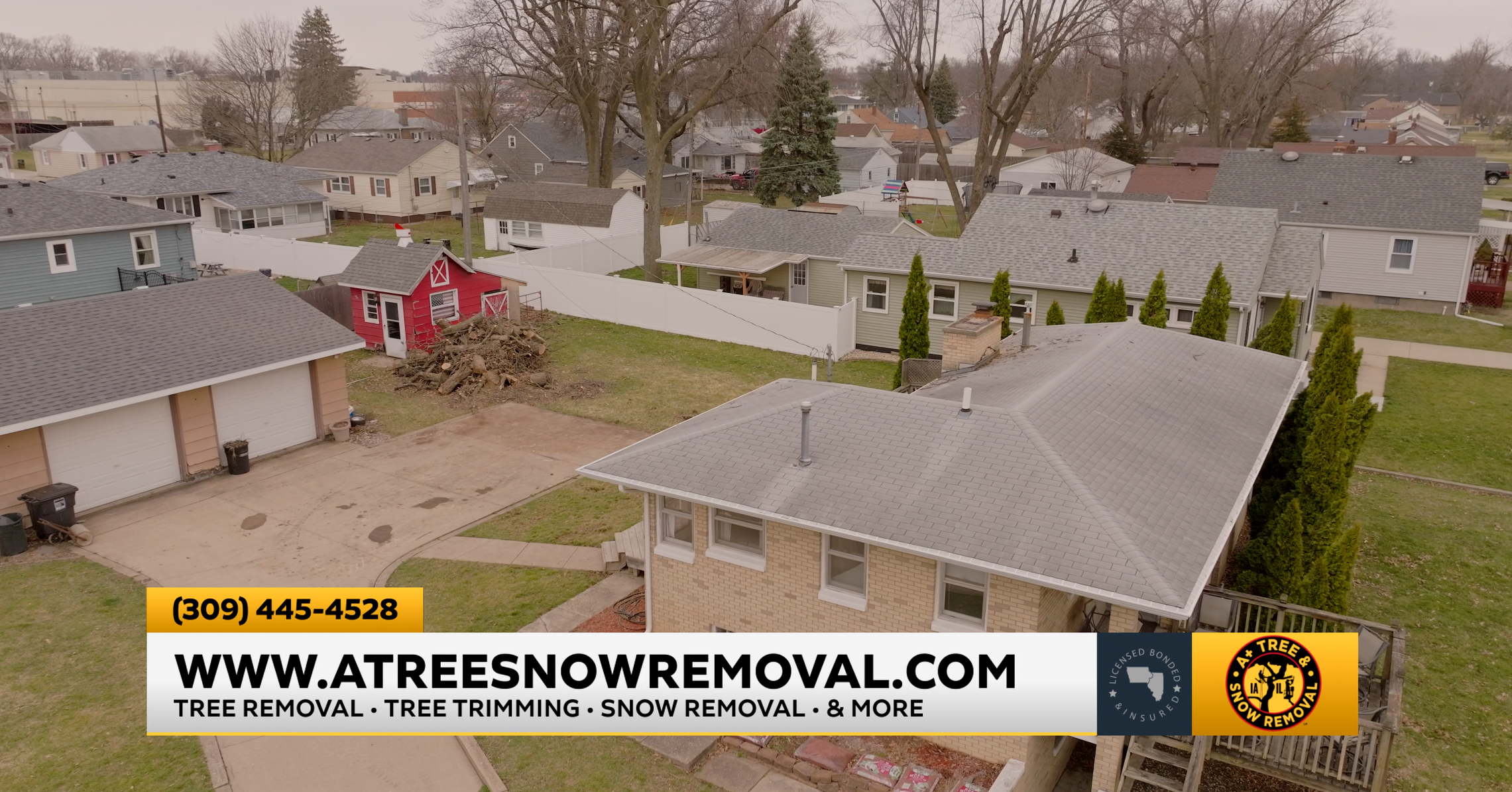 After tree removal — clean property